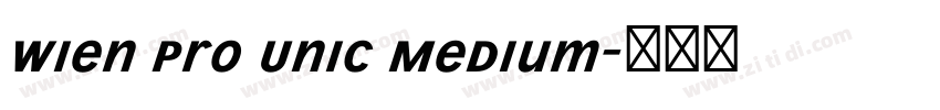 Wien Pro Unic Medium字体转换